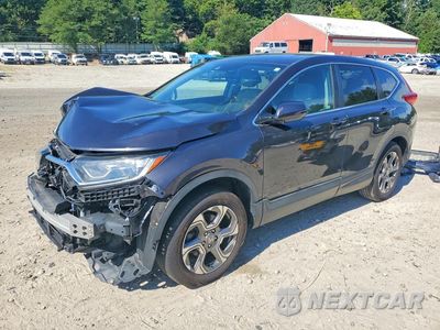 2019 HONDA CR-V EX 2HKRW2H52KH645644 - główne zdjęcie licytacji z USA - miniatura