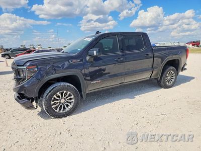2023 GMC SIERRA K1500 AT4 1GTUUEELXPZ122361 - główne zdjęcie licytacji z USA - miniatura