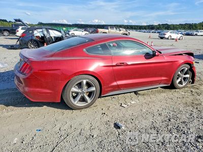 Trzecie zdjęcie samochodu z tyłu: 2016 FORD MUSTANG VIN:1FA6P8AM6G5229176 - miniatura