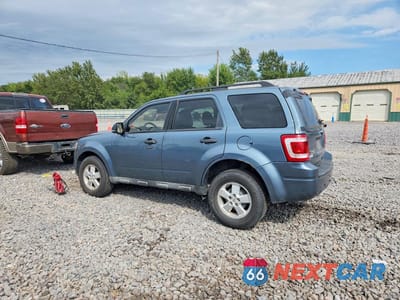 Drugie zdjęcie samochodu z przodu: 2010 FORD ESCAPE XLT VIN:1FMCU0DG3AKA53298 - miniatura