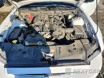 Zdjęcie 11 z 12 samochodu: 2014 FORD MUSTANG VIN:1ZVBP8AM0E5282104 - miniatura
