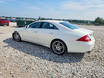 Drugie zdjęcie samochodu z przodu: 2010 MERCEDES-BENZ CLS 550 VIN:WDDDJ7CB2AA166218 - miniatura