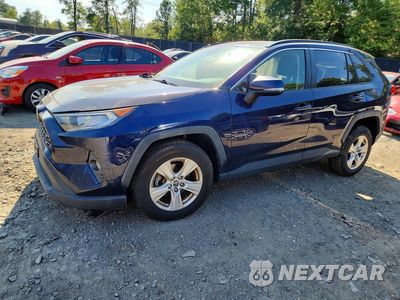 2019 TOYOTA RAV4 XLE JTMP1RFV6KJ016008 - główne zdjęcie licytacji z USA - miniatura