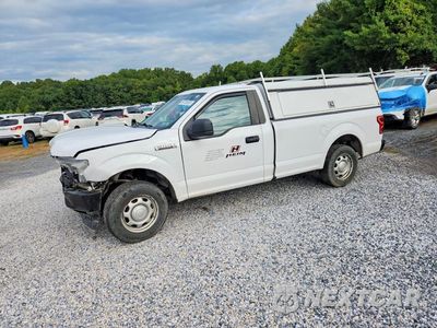 2018 FORD F150 1FTMF1CB3JKC30480 - główne zdjęcie licytacji z USA - miniatura