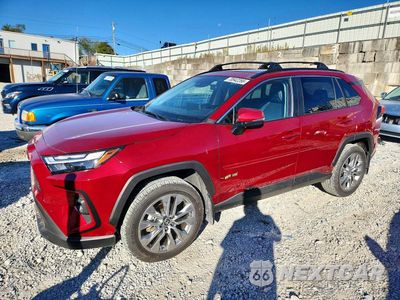 2025 TOYOTA RAV4 XLE PREMIUM 2T3A1RFV4SW555265 - główne zdjęcie licytacji z USA - miniatura