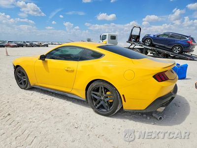Drugie zdjęcie samochodu z przodu: 2024 FORD MUSTANG VIN:1FA6P8TH6R5136581 - miniatura