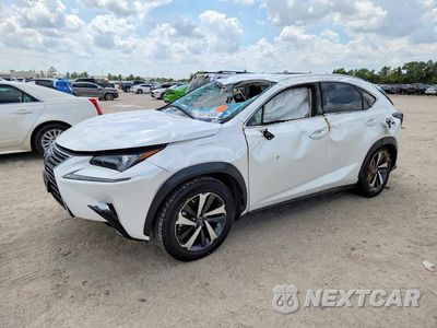 2020 LEXUS NX 300 JTJGARBZ0L5019227 - główne zdjęcie licytacji z USA - miniatura