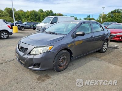 2010 TOYOTA COROLLA LE JTDBU4EE2AJ072158 - główne zdjęcie licytacji z USA - miniatura