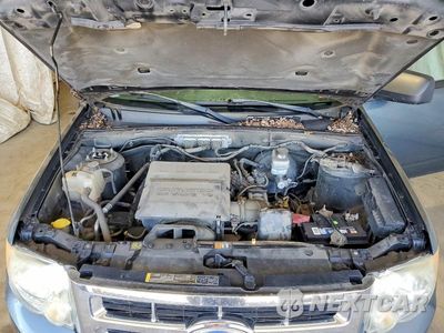 Zdjęcie 12 z 13 samochodu: 2011 FORD ESCAPE XLT VIN:1FMCU9DGXBKC35991 - miniatura