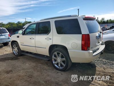 Drugie zdjęcie samochodu z przodu: 2013 CADILLAC ESCALADE LUXURY VIN:1GYS4BEF7DR243175 - miniatura