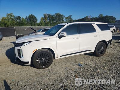 2025 HYUNDAI PALISADE CALLIGRAPHY NIGHT EDITION KM8R7DGE8SU918162 - główne zdjęcie licytacji z USA - miniatura