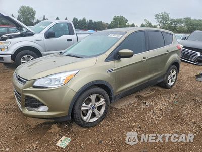 2014 FORD ESCAPE SE 1FMCU0GXXEUB24342 - główne zdjęcie licytacji z USA - miniatura