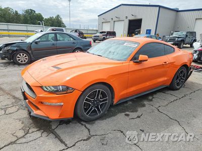 2021 FORD MUSTANG 1FA6P8TH0M5151926 - główne zdjęcie licytacji z USA - miniatura
