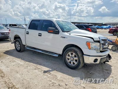 Czwarte zdjęcie samochodu z boku: 2013 FORD F150 SUPERCREW VIN:1FTFW1CF7DKD15127 - miniatura