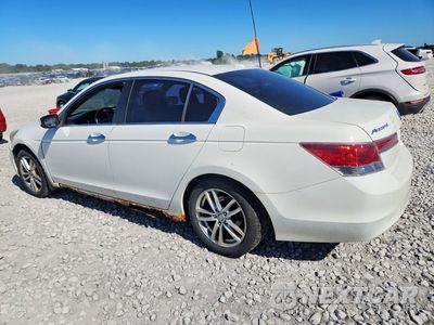 Drugie zdjęcie samochodu z przodu: 2011 HONDA ACCORD EXL VIN:1HGCP3F86BA800520 - miniatura