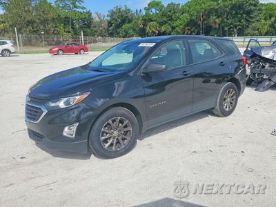 2019 CHEVROLET EQUINOX LS 2GNAXHEVXK6267036 - główne zdjęcie licytacji z USA - miniatura