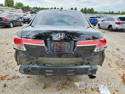 Zdjęcie 6 z 13 samochodu: 2011 HONDA ACCORD EXL VIN:1HGCP2F81BA114802 - miniatura