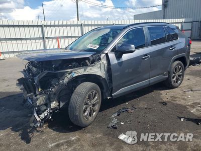 2024 TOYOTA RAV4 XLE PREMIUM JTMB6RFV9RD125308 - główne zdjęcie licytacji z USA - miniatura