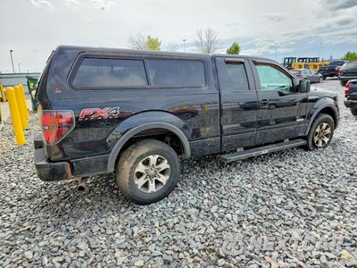 Trzecie zdjęcie samochodu z tyłu: 2013 FORD F150 SUPER CAB VIN:1FTFX1ET8DFB35339 - miniatura