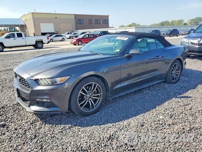 2017 FORD MUSTANG 1FATP8UH2H5296019 - główne zdjęcie licytacji z USA - miniatura