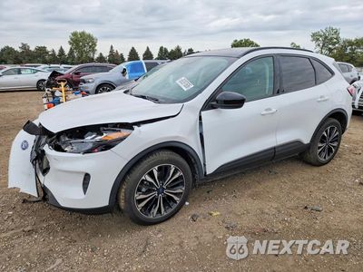 2022 FORD ESCAPE SE 1FMCU9BZ8NUA91502 - główne zdjęcie licytacji z USA - miniatura