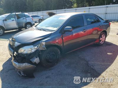 2010 TOYOTA COROLLA LE JTDBU4EE6AJ059574 - główne zdjęcie licytacji z USA - miniatura