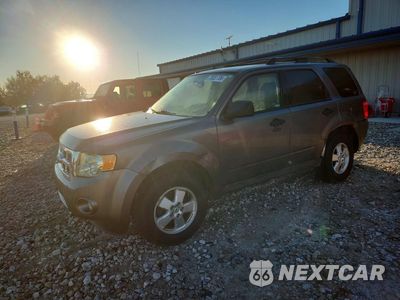 2011 FORD ESCAPE XLT 1FMCU9D76BKA62485 - główne zdjęcie licytacji z USA - miniatura