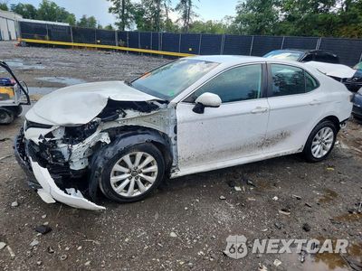 2019 TOYOTA CAMRY LE 4T1B11HK9KU853280 - główne zdjęcie licytacji z USA - miniatura