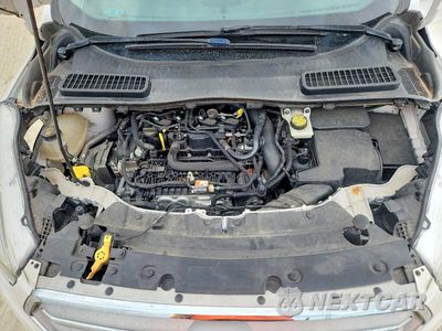 Zdjęcie 11 z 12 samochodu: 2019 FORD ESCAPE SE VIN:1FMCU0GD2KUA18145 - miniatura