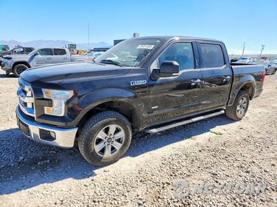2015 FORD F150 SUPERCREW 1FTEW1EP5FKD45375 - główne zdjęcie licytacji z USA - miniatura