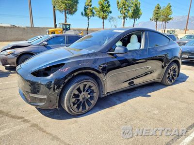 2020 TESLA MODEL Y 5YJYGDEE7LF040527 - główne zdjęcie licytacji z USA - miniatura