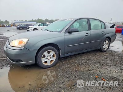 2005 CHEVROLET MALIBU LS 1G1ZT52815F126895 - główne zdjęcie licytacji z USA - miniatura