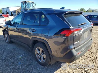 Drugie zdjęcie samochodu z przodu: 2025 TOYOTA RAV4 XLE VIN:2T3P1RFV8SC502810 - miniatura