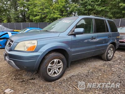 2005 HONDA PILOT EXL 5FNYF18565B018731 - główne zdjęcie licytacji z USA - miniatura