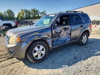 2009 FORD ESCAPE XLT 1FMCU03789KA14882 - główne zdjęcie licytacji z USA - miniatura