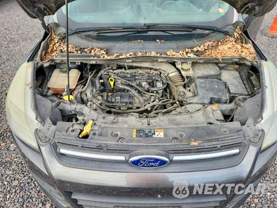 Zdjęcie 11 z 12 samochodu: 2016 FORD ESCAPE SE VIN:1FMCU0GX7GUB56734 - miniatura