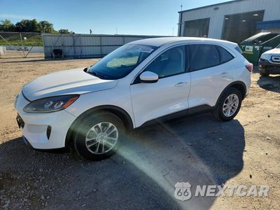 2021 FORD ESCAPE SE 1FMCU9G6XMUB10838 - główne zdjęcie licytacji z USA - miniatura