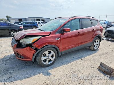 2014 FORD ESCAPE SE 1FMCU0GX8EUB12447 - główne zdjęcie licytacji z USA - miniatura