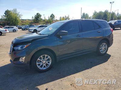 2019 CHEVROLET EQUINOX LS 3GNAXHEV8KS613618 - główne zdjęcie licytacji z USA - miniatura