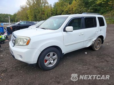 2011 HONDA PILOT EXL 5FNYF3H55BB006688 - główne zdjęcie licytacji z USA - miniatura