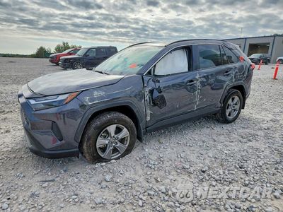 2025 TOYOTA RAV4 XLE 2T3P1RFV7SW554010 - główne zdjęcie licytacji z USA - miniatura