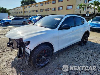 2019 ALFA ROMEO STELVIO ZASPAJAN3K7C71678 - główne zdjęcie licytacji z USA - miniatura
