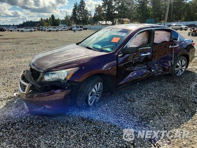 2010 HONDA ACCORD EXL 5KBCP3F8XAB011955 - główne zdjęcie licytacji z USA - miniatura
