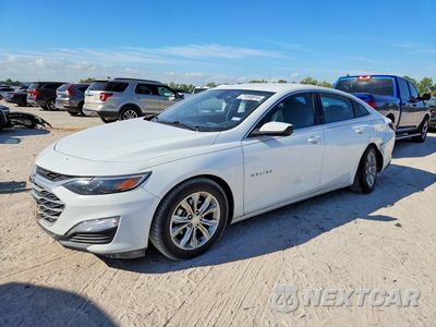 2019 CHEVROLET MALIBU LT 1G1ZD5ST2KF202038 - główne zdjęcie licytacji z USA - miniatura