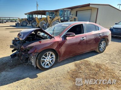 2010 NISSAN MAXIMA 3.5 S 1N4AA5AP0AC823205 - główne zdjęcie licytacji z USA - miniatura