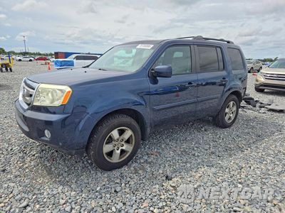 2011 HONDA PILOT EXL 5FNYF4H51BB030556 - główne zdjęcie licytacji z USA - miniatura