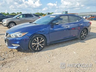 2016 NISSAN MAXIMA PLATINUM 1N4AA6AP3GC402772 - główne zdjęcie licytacji z USA - miniatura