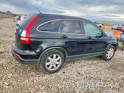 Trzecie zdjęcie samochodu z tyłu: 2009 HONDA CR-V EX VIN:JHLRE48559C004494 - miniatura