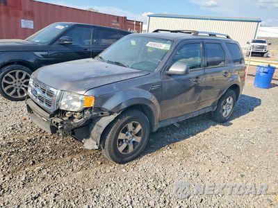 2011 FORD ESCAPE LIMITED 1FMCU9E71BKC69350 - główne zdjęcie licytacji z USA - miniatura