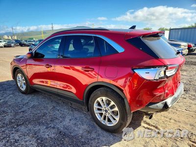 Drugie zdjęcie samochodu z przodu: 2020 FORD ESCAPE SE VIN:1FMCU0G63LUB82037 - miniatura